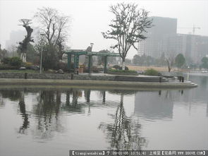 寧波寧南路綠化設(shè)計與園林工程全覽