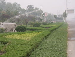 濰坊麗景園林 一站式園林綠化工程設(shè)計及施工服務(wù)