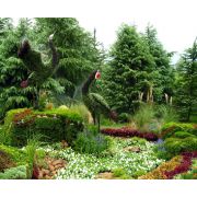 立體景觀與園林綠化 從設(shè)計到施工的全方位解析