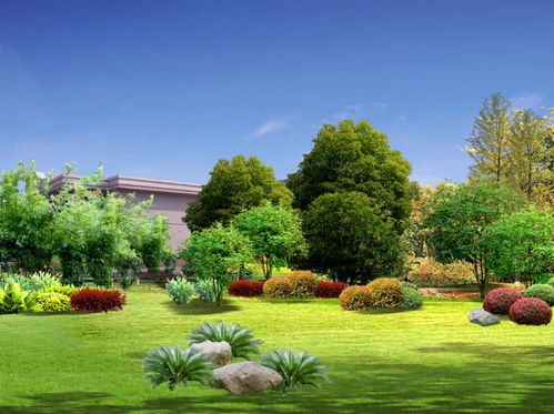 綠色“逆行”筑希望 火神山醫(yī)院綠化工程24小時(shí)奇跡上線