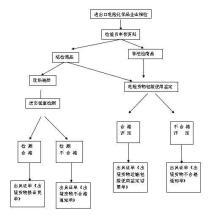 化學品進出口 批發(fā)渠道與價格策略詳解